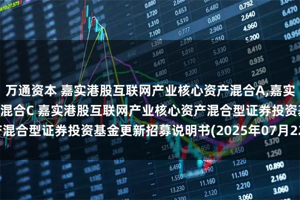 万通资本 嘉实港股互联网产业核心资产混合A,嘉实港股互联网产业核心资产混合C 嘉实港股互联网产业核心资产混合型证券投资基金更新招募说明书(2025年07月22日更新)