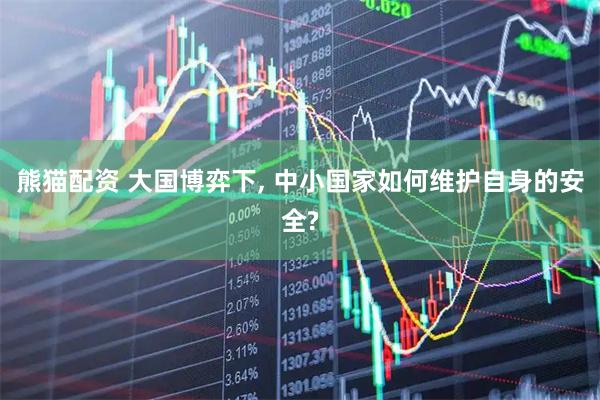 熊猫配资 大国博弈下, 中小国家如何维护自身的安全?
