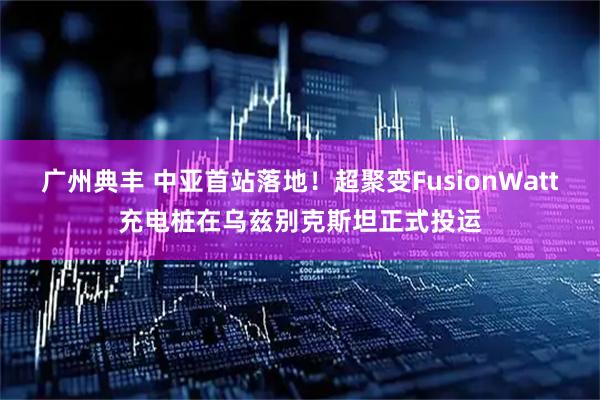 广州典丰 中亚首站落地！超聚变FusionWatt充电桩在乌兹别克斯坦正式投运