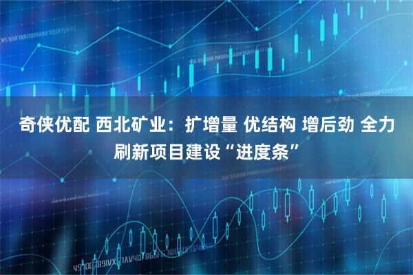 奇侠优配 西北矿业：扩增量 优结构 增后劲 全力刷新项目建设“进度条”
