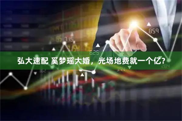 弘大速配 奚梦瑶大婚，光场地费就一个亿？