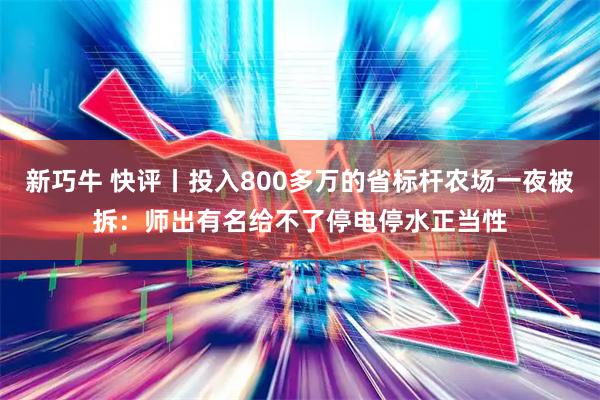 新巧牛 快评丨投入800多万的省标杆农场一夜被拆:师出有名给不了停电停水正当性